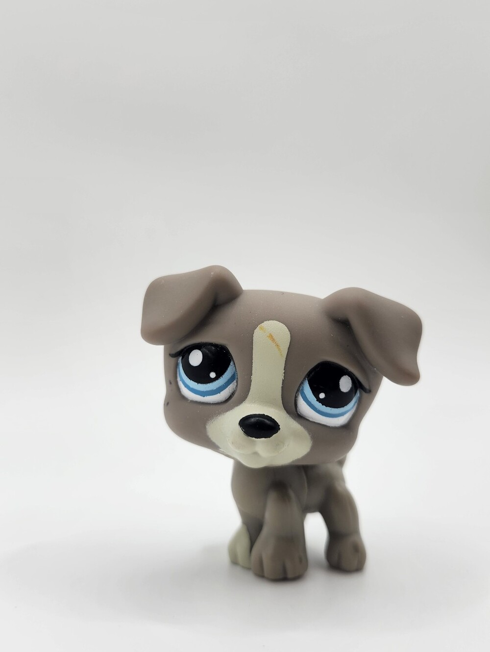 JACK RUSSEL DOG #1832 LPS collectors 2010 Authentic Littlest Pet Shop Hasbro